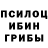 Галлюциногенные грибы Cubensis KoPTuK