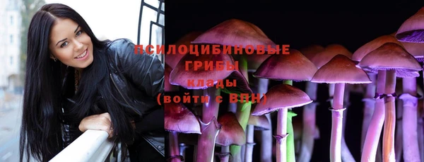 PSILOCYBIN Алексин