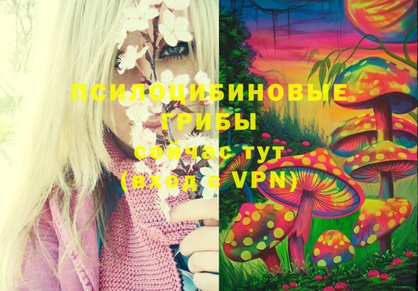 PSILOCYBIN Алексин