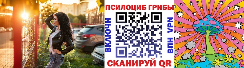 Псилоцибиновые грибы мицелий Чадан
